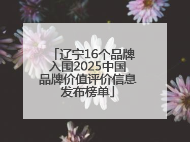 辽宁16个品牌入围2025中国品牌价值评价信息发布榜单