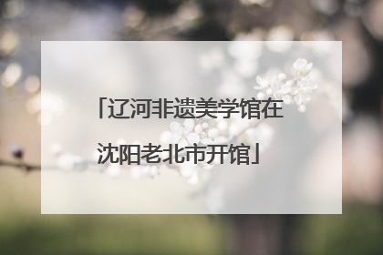 辽河非遗美学馆在沈阳老北市开馆