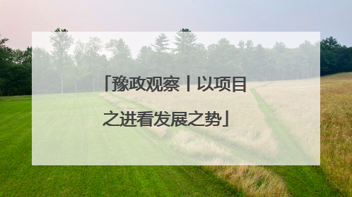 豫政观察丨以项目之进看发展之势