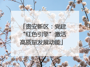 贵安新区：党建“红色引擎”激活高质量发展动能