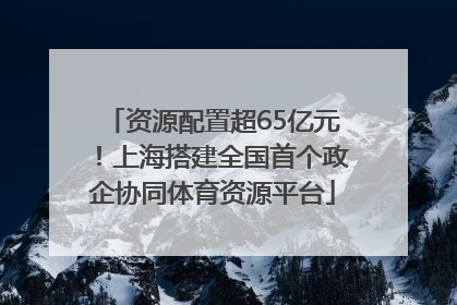 资源配置超65亿元！上海搭建全国首个政企协同体育资源平台