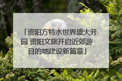 资阳方特水世界盛大开园 资阳文旅开启近郊游目的地建设新篇章