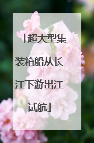 超大型集装箱船从长江下游出江试航