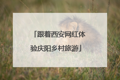 跟着西安网红体验庆阳乡村旅游