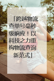 跨越物流查单号毫秒级响应！以科技之力重构物流查询新范式