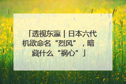 透视东瀛｜日本六代机欲命名“烈风”，暗藏什么“祸心”