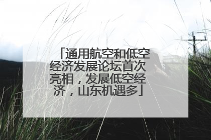 通用航空和低空经济发展论坛首次亮相，发展低空经济，山东机遇多