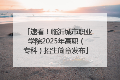 速看！临沂城市职业学院2025年高职（专科）招生简章发布