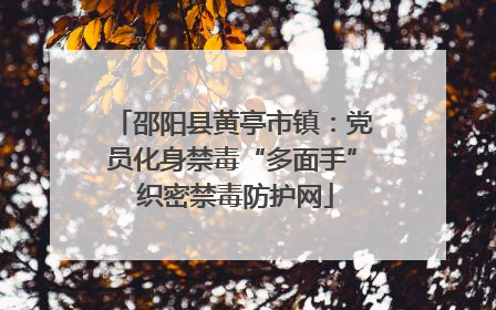 邵阳县黄亭市镇：党员化身禁毒“多面手” 织密禁毒防护网