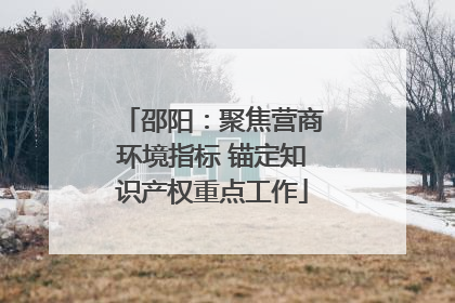 邵阳：聚焦营商环境指标 锚定知识产权重点工作