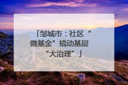邹城市：社区“微基金”撬动基层“大治理”