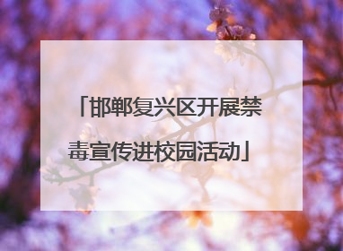邯郸复兴区开展禁毒宣传进校园活动