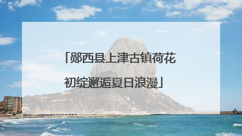郧西县上津古镇荷花初绽邂逅夏日浪漫