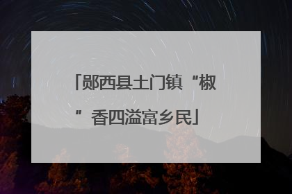 郧西县土门镇“椒”香四溢富乡民