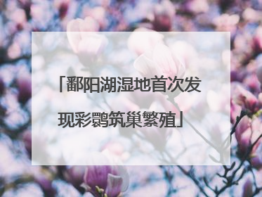 鄱阳湖湿地首次发现彩鹮筑巢繁殖