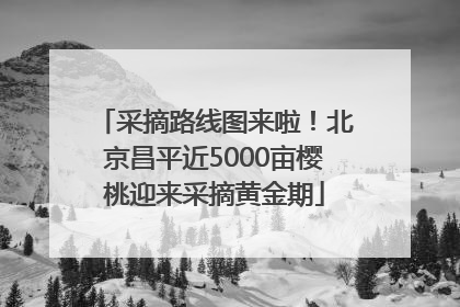 采摘路线图来啦！北京昌平近5000亩樱桃迎来采摘黄金期