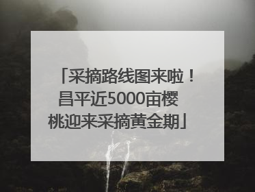 采摘路线图来啦！昌平近5000亩樱桃迎来采摘黄金期
