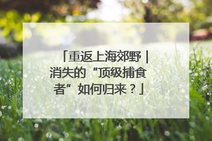 重返上海郊野｜消失的“顶级捕食者”如何归来？