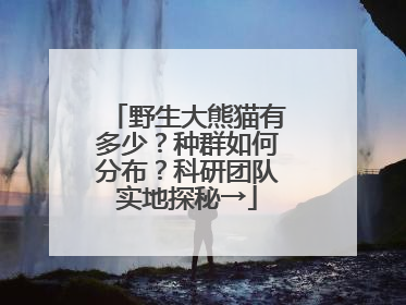 野生大熊猫有多少？种群如何分布？科研团队实地探秘→