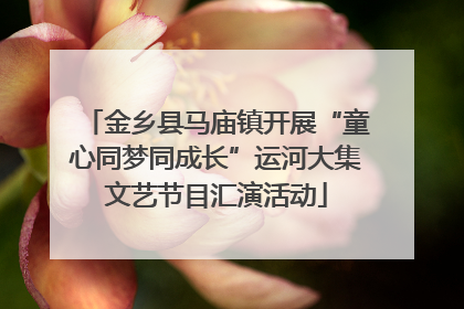 金乡县马庙镇开展“童心同梦同成长”运河大集文艺节目汇演活动