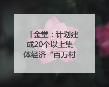 金堂：计划建成20个以上集体经济“百万村”｜成都县市新城高质量发展