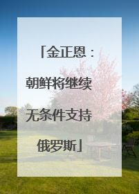 金正恩：朝鲜将继续无条件支持俄罗斯