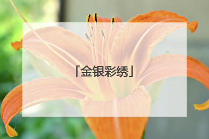 金银彩绣