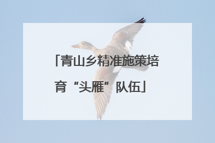 青山乡精准施策培育“头雁”队伍