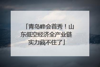 青岛峰会首秀！山东低空经济全产业链实力藏不住了