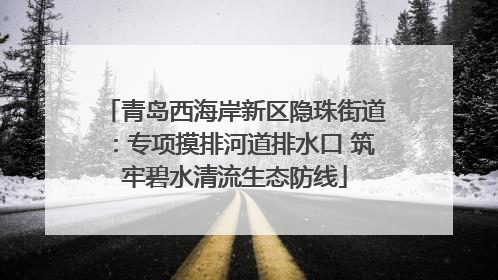青岛西海岸新区隐珠街道：专项摸排河道排水口 筑牢碧水清流生态防线