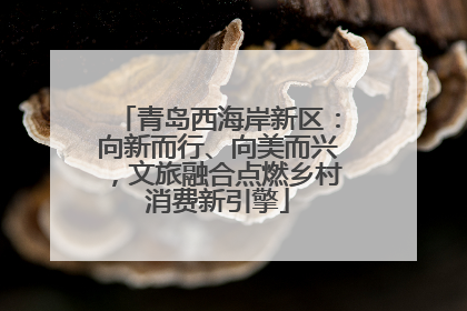 青岛西海岸新区：向新而行、向美而兴，文旅融合点燃乡村消费新引擎