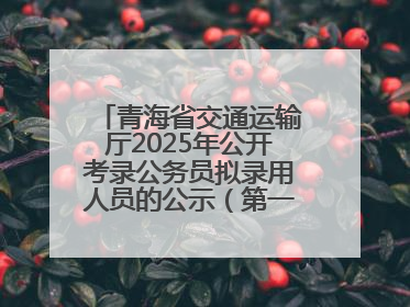 青海省交通运输厅2025年公开考录公务员拟录用人员的公示（第一批次）