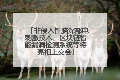 非侵入性脑深部电刺激技术、区块链智能漏洞检测系统等将亮相上交会