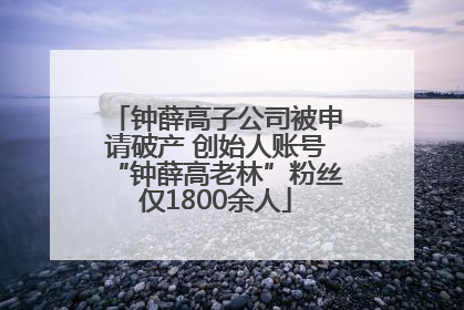 钟薛高子公司被申请破产 创始人账号“钟薛高老林”粉丝仅1800余人