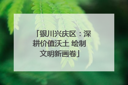 银川兴庆区：深耕价值沃土 绘制文明新画卷