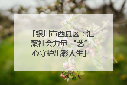 银川市西夏区：汇聚社会力量 “艺”心守护出彩人生