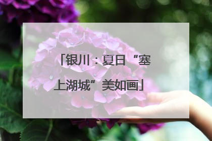 银川：夏日“塞上湖城”美如画