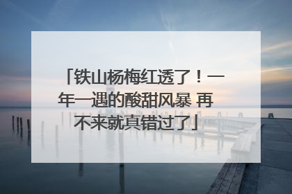 铁山杨梅红透了！一年一遇的酸甜风暴 再不来就真错过了