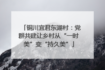 铜川宜君东湖村：党群共建让乡村从“一时美”变“持久美”