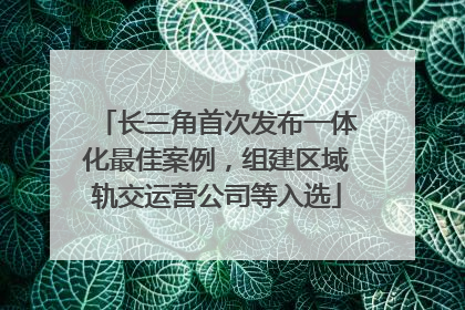 长三角首次发布一体化最佳案例，组建区域轨交运营公司等入选