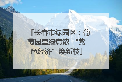 长春市绿园区：葡萄园里绿意浓 “紫色经济”焕新枝