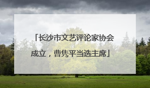 长沙市文艺评论家协会成立，曹隽平当选主席