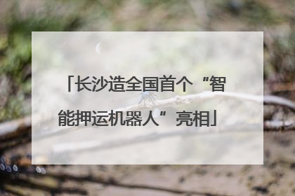 长沙造全国首个“智能押运机器人”亮相