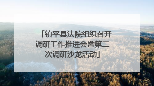 镇平县法院组织召开调研工作推进会暨第二次调研沙龙活动