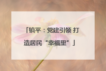 镇平：党建引领 打造居民“幸福里”