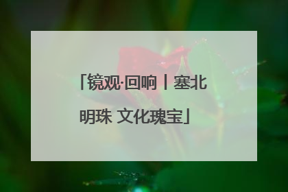 镜观·回响丨塞北明珠 文化瑰宝