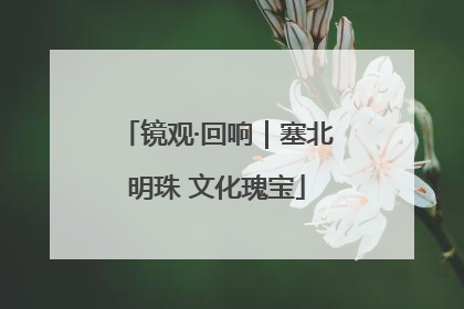 镜观·回响｜塞北明珠 文化瑰宝