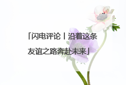 闪电评论丨沿着这条友谊之路奔赴未来