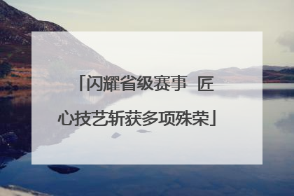 闪耀省级赛事  匠心技艺斩获多项殊荣