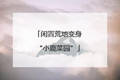 闲置荒地变身“小鹿菜园”